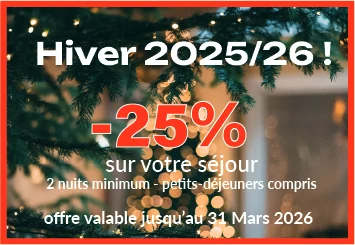 promo hivers sapin et guirlande avec texte